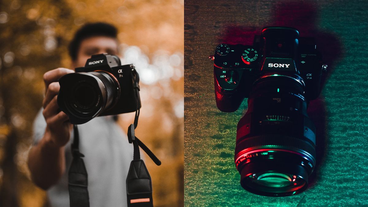 Top Rated Mirrorless Cameras In India From Sony, Nikon, Canon And More